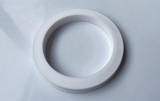 교체 가능한 설치가 쉬운 80 나트릴 PTFE 망치 연합 입술 봉인 가스켓 / 링