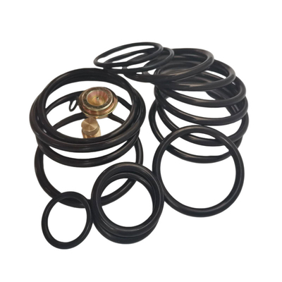 90 Shore A O-Ring Kit with AP Compact SettingTool 누출 방지 밀폐 가스켓 산업용