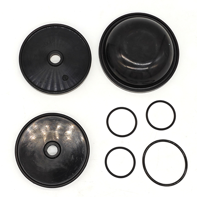 Ar30/40 펌프용 블루플렉스 디아프라그마 키트