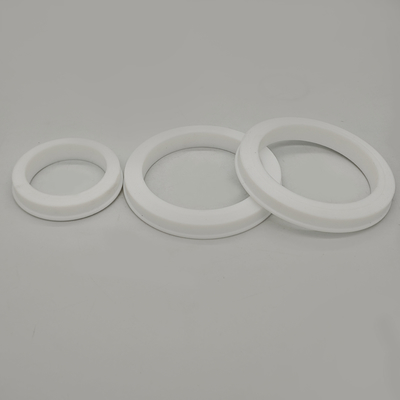 고압 파이프 연결용 FKM PTFE 해머 유니온 씰