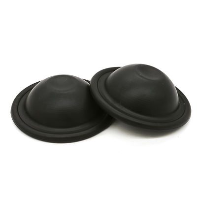 180034 모델 NBR 또는 FKM 고무 막 펌프 물 담막