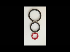 80 Shore A Brass Backup Buna Hammer 연합 봉인